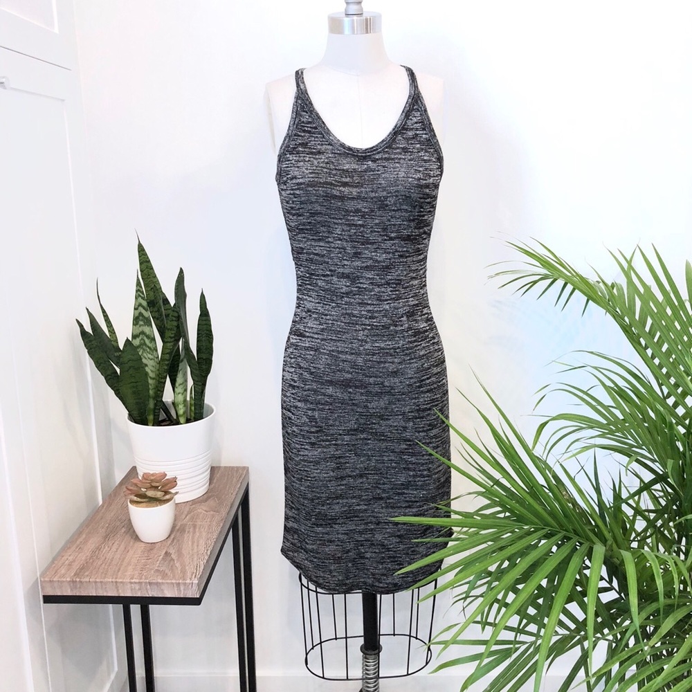 Aritzia Wilfred Free Dress